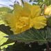 Sandra McLay - Facebook