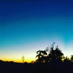 Sandra McPhail - @sandramcphail1 - Instagram