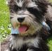 Sandra McSweeney - Facebook