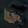 Axle - @sandramcvay - TikTok