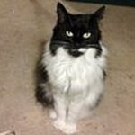 Sandy Meacham - @meachamsandy - Instagram