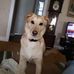 Sandra Means - Facebook