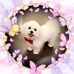 Sandra Meche - Facebook