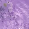 Sandra Melara - @sandra.melara4 - TikTok