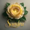 Sandra Melchor - @user3394110002438 - TikTok