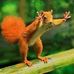 Sandra Mellott - Facebook