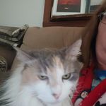 Sandy Mellott - @mellott.sandy - Instagram