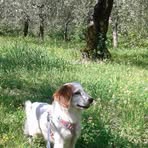 Sandra Meloni - Facebook