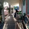 sandramelonihight - @sandra.meloni.hig - TikTok
