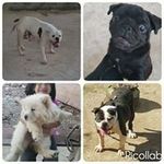 Sandra-melvin Bugnay - @sandramelvinbugnay - Instagram