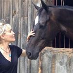 Animals Talk To Us - @sandra_mendelson - Instagram