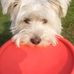 Sandra Menke - Facebook