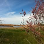 Sandra Menotti - @sandramenotti.65 - Instagram