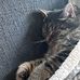 Sandra Menzel - Facebook