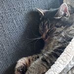 Sandra Menzel - @sandra.menzel.777 - Instagram