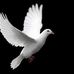 Sandra Menzel - Facebook