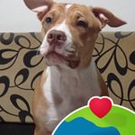 Sandra Merchan - @sandra.merchan.129 - Instagram
