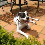 Sandra Merchan - @merchan.sandra - Instagram