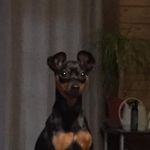 Sandra Merchant - @sandramerchant856 - Instagram