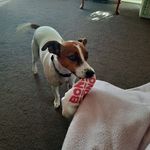 Sandra Merchant - @merchant7560 - Instagram