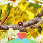 Sandra Merkel - @sandra.merkel.716 - Instagram