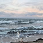Sandra Merkel - @sanymerk - Instagram
