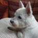 Sandra Messenger - Facebook