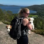 Sandra Messer - @sandramesser - Instagram
