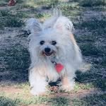 Sandra F. Metro - @smetro754 - Instagram