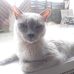 Sandra Mette - Facebook