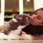 Sandra Meyer - @savagebulldogs.otterndorf - Instagram