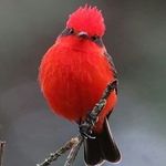 Sandra Miceli - @sunny_35173 - Instagram