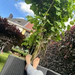 Sandra Jaminet Michiels - @sandramichiels28 - Instagram