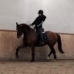 Miceq - @sandramickiewicz - Instagram
