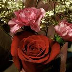 Sandra Milligan - @sandra.milligan.731 - Instagram