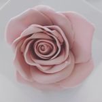 Sandra Milligan - @sandrascakes1 - Instagram