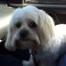 Sandra Milliken - Facebook