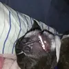Sandy Millikin - @sandy.millikin - TikTok