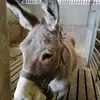 Sandra Milner - @sandra.milner5 - TikTok