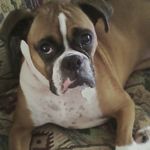 Sandra Mims - @mims569 - Instagram