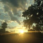 Sandra Mims Harris - @sandramimsharris - Instagram