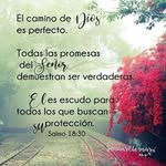 Sandra Minchala - @sandra.minchala - Instagram
