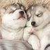 Sandra Mitch - Facebook