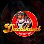 sandra mini dachshunds - @sandraminidachshunds - Instagram