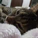 Sandra Minotti - @sandrinha_nina - Instagram