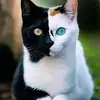 Sandra Mirkovic - @sandra2222531 - TikTok