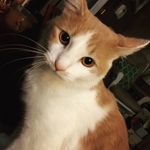 Sandra Mize - @sandra.mize - Instagram