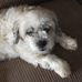 Sandra Moffitt - Facebook