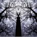 Sandra Moffitt - Facebook