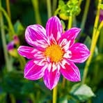 Sandra Mogan - Facebook